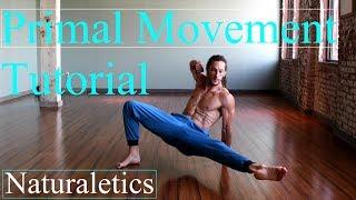 Learn How To Flow Locomotion Animal Flow Primal Movement