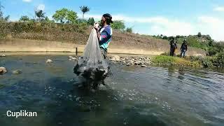 jala ikan di sungai ini sekali tebar sampai gak kuat angkat  isinya besar semua sungai ini