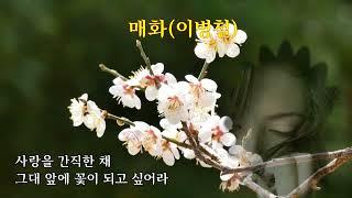 꽃노래 매화이병철 - 가사자막