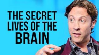 The New Structure of Infinite Possibility   David Eagleman on Impact Theory