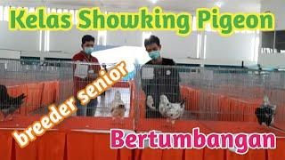Penjurian Kelas Showking Pigeon Kontes Merpati Hias Surabaya 2021 penuh KEJUTAN