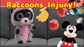 SlimeySnail Movie Raccoons Injury