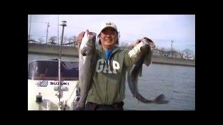 ACTIVE FISHING but a day of fishing in the sea of Japan Pescaria de robalo em Nagoyaシーバス釣り 名古屋港