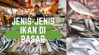 Kenali #10 Jenis Ikan Yang Terdapat Di Pasar