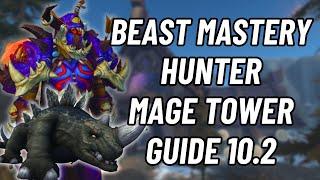 Beast Mastery Hunter Mage Tower Guide 10.2  World of Warcraft  Dragonflight