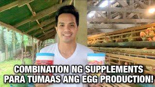 SUBUKAN NATIN ANG COMBINATION NG SUPPLEMENTS PARA TUMAAS ANG HARVEST