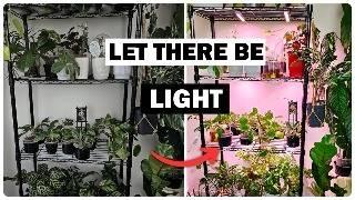 Achieve Lush Plant Growth in Winter with THIS Setup