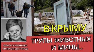 Туристам - почему НЕЛЬЗЯ ехать в Крым сейчас - Ольга Романова