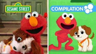 Sesame Street Celebrate Puppy Day with Elmo & Tango  1 Hour Compilation