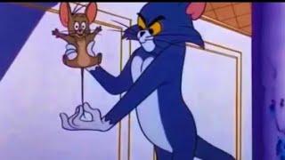 Tom And Jerry English Episodes - Just Wild About Jerry - Cartoons For Kids