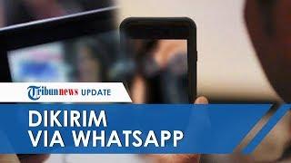 Dikirimi Video Mesum via WA Guru Ini Berikan Reaksi Tak Terduga