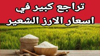 اسعار الارز الشعير اليوم اسعار الارز الابيض ومخلفات الارز واسعار الذرة والصويا اليوم