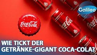 Zwischen Mythos und Nachhaltigkeit Wie tickt der Getränke-Gigant Coca-Cola?