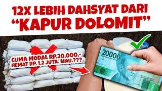 MODAL Rp. 20.000 HEMAT 12 JUTA. MAU.??? MEMBUAT PUPUK PENETRAL PH TANAH PENGGANTI KAPUR DOLOMIT