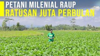 Salut Petani Muda Raup Omzet Ratusan Juta Dan Memberdayakan Pemuda Melalui PKK Milenial