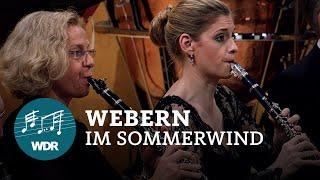 Anton Webern - Im Sommerwind  WDR Symphony Orchestra  Jukka-Pekka Saraste