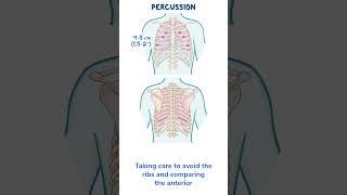 Assessment Clips Assessment of the thorax and lungs