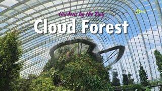 Cloud Forest  Gardens by the Bay Singapore