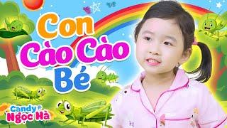 Con Cào Cào - Bé Candy Ngọc Hà - Nhạc Thiếu Nhi Sôi Động Bé Thích Nhất