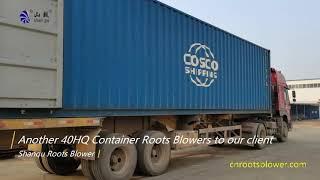 Roots Blower máy thổi khí Shangu soplador de raíces One more 40HQ Container Delivery for our clients