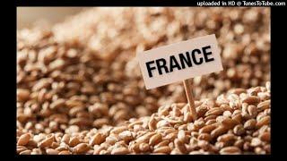 Le blé français avarié saisi ne sera pas commercialisé quels que soient les résultats de l’enquête
