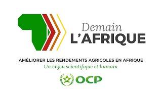 Améliorer les rendements agricoles en Afrique - Un enjeu scientifique et humain