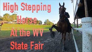 High Stepping Horse at the 2023 West Virginia State Fair Equine Competition and Show