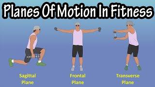 Importance Of The Planes Of Motion Sagittal Plane Frontal Plane Transverse Plane In Fitness