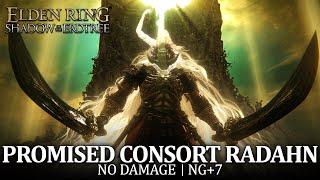Promised Consort Radahn Boss Fight No Damage  No Parry  NG+7 Elden Ring DLC