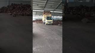 truk terbalik saat menurunkan kelapa sawit