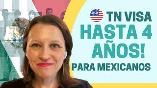 TN U.S. Visa  - 4 Años de visa para profesionales Mexicanos 2022