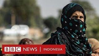 Turki Kurdi dan Suriah Apa yang sebenarnya terjadi? - BBC News Indonesia