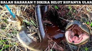 Hari Apes Gak Ada Yang Tau... Niatnya Mancing Belut Babon Yang Didapat Malah ULAR SEGEDE BAMBU