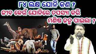 ୮୪ ଲକ୍ଷ ଯୋନି କଣ ? ଜୀଵ କେଉଁ ଯୋନିରେ ତପସ୍ୟା କରି ମଣିଷ ଜନ୍ମ ପାଇଲା ? @BipiniBihariSamal । Pravachan ।