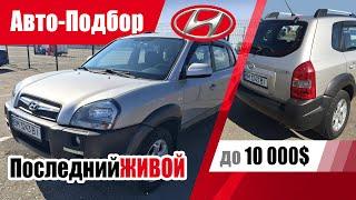 #Подбор UA Poltava. Подержанный автомобиль до 10000$. Hyundai Tucson JM.