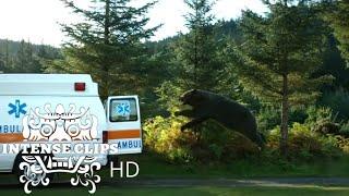 Unbelievable Chaos Cocaine Bears Ambulance Rampage  2023 