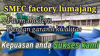 C4r4 bertransaksi di SMFC factory lumajang