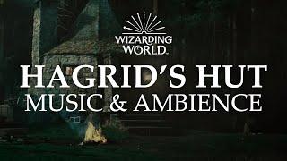 Hagrids Hut  Harry Potter Music & Ambience - Rain and Night Sounds Near the Forbidden Forest