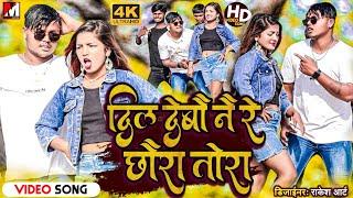 Dil Debau Nai Re Chaura Tora  दिल देबौ नै रे छौरा तोरा Maithili Video Song 2022