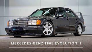 Detailing Mercedes-Benz 190E Evolution II