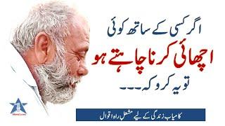 Kisi Ke Sath Aap Sub se Achi Bhalai Ye Ker Sakte Heain...  Best Urdu Quotes  Danai Ki Batain