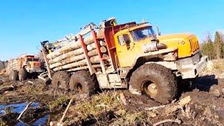 Youve never seen anything like this SnowRunner in real life Ural Tatra MAN IFA Off-Road