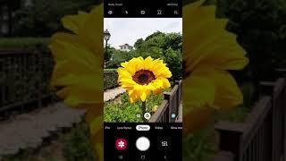 Galaxy A How-To Der Live Fokus für Bokeh Effekte