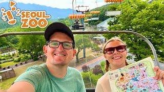 Visiting Seoul Zoo FULL Tour & Awesome Chairlift In South Korea