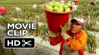 Food Chains Movie CLIP - Early Morning 2014 - Documentary HD