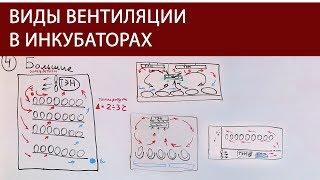 ШКОЛА ИНКУБАТОРОСТРОЕНИЯ №5 схемы движения воздуха в заводских и самодельных инкубаторах для яиц