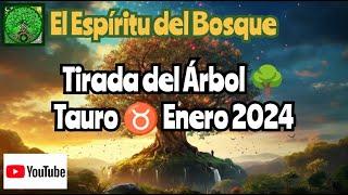 Tirada del árbol TAURO ENERO 2024