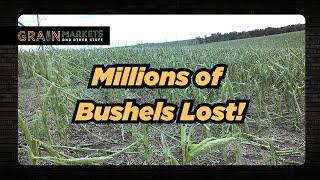 Hail Storm Destroys MILLIONS of US Corn and Soybean Bushels