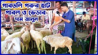 গাবতলি গরুর হাট ভেড়া ও গারলের দাম জানুন  garol hat 2024  ভাই দাম কতো  amintv