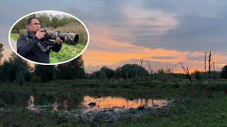 Natuurfotografie in de Broekpolder laat mensen opbloeien ‘Hij had een vis onder zijn pootjes’